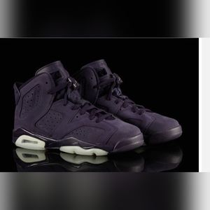 Air jordan 6 purple dynasty